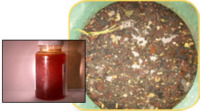 Initial-Contamination