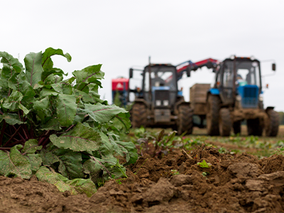 beet farming ag products image